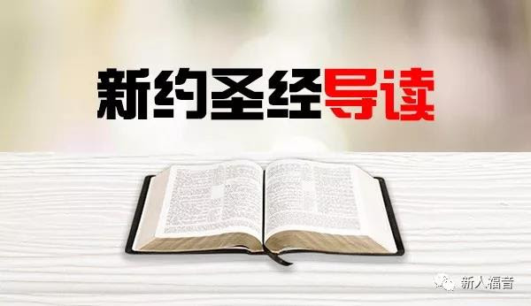 19年新约圣经导读 Mainlandscholar Org