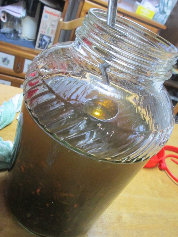 生きたスズメバチで作った焼酎を飲んでみた 塩っぽい味がした それ毒成分です ロケットニュース24