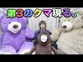 画像をダウンロード はじめ しゃ ちょ ー くま の ぬいぐるみ 381508