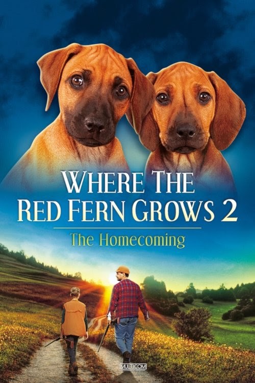 Online 1992 Where The Red Fern Grows Part 2 Videa HD Teljes Film
Indavideo Magyarul Blu Ray