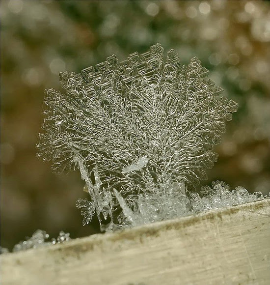 Andrew Osokin's macro photographs of snowflakes and ice formations