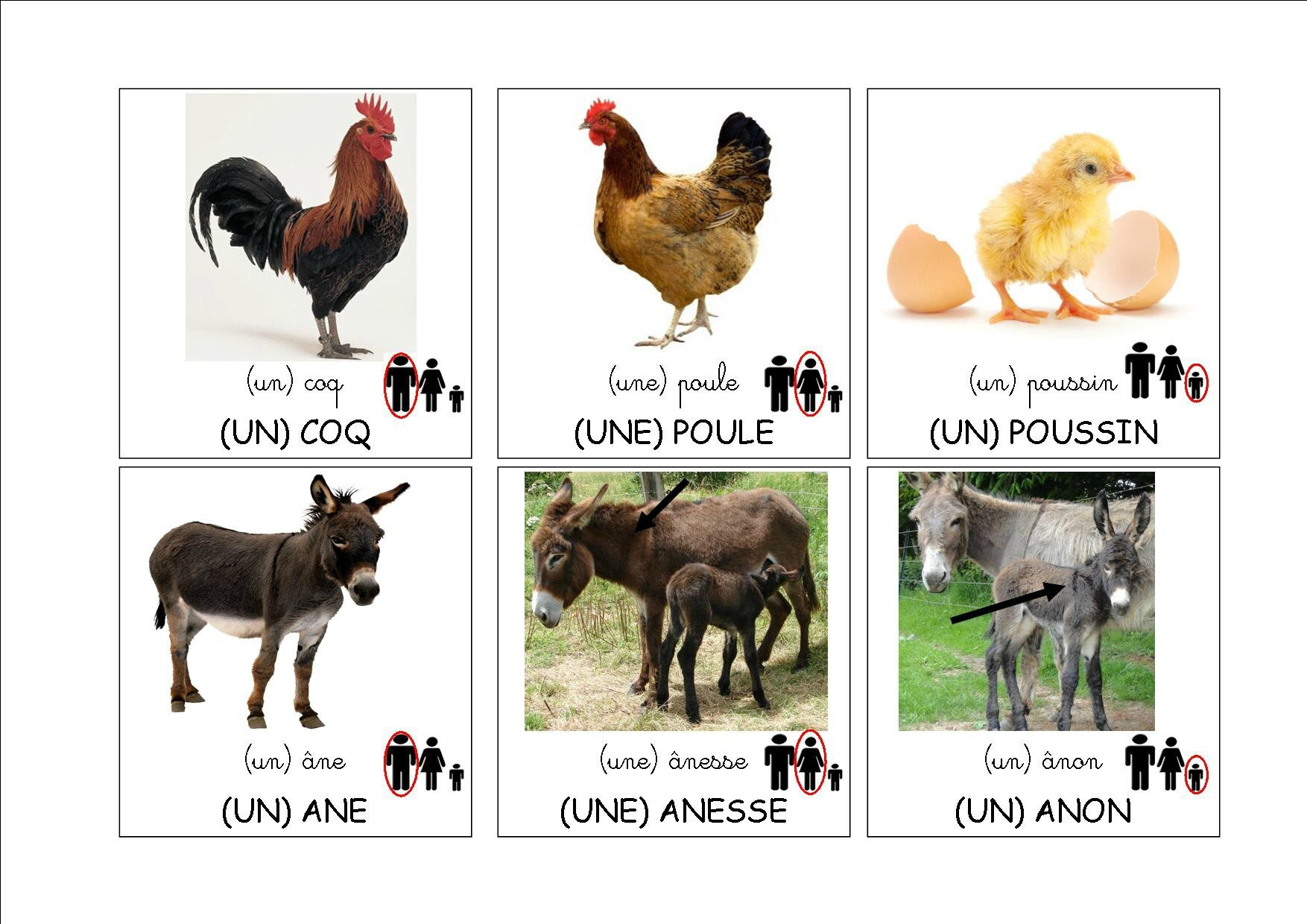 Loto Des Animaux De La Ferme La Classe De Mamaicress