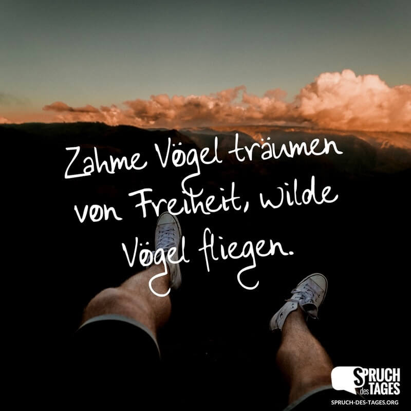 spruch geburtstag rosen