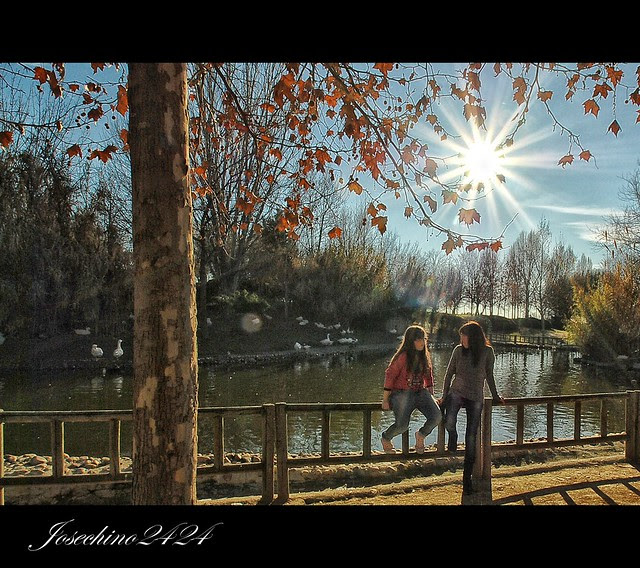 Al sol