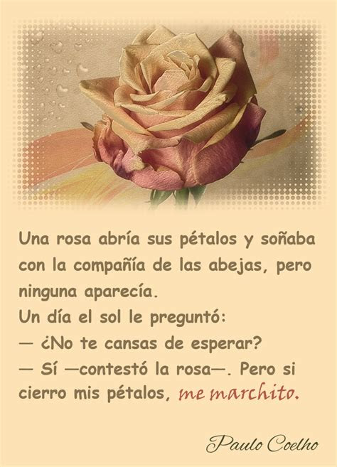 reflexiones de paulo coelho frases de amor imagenes