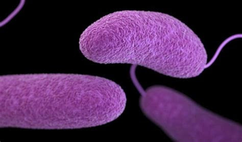 flesh eating bacteria kills man   days