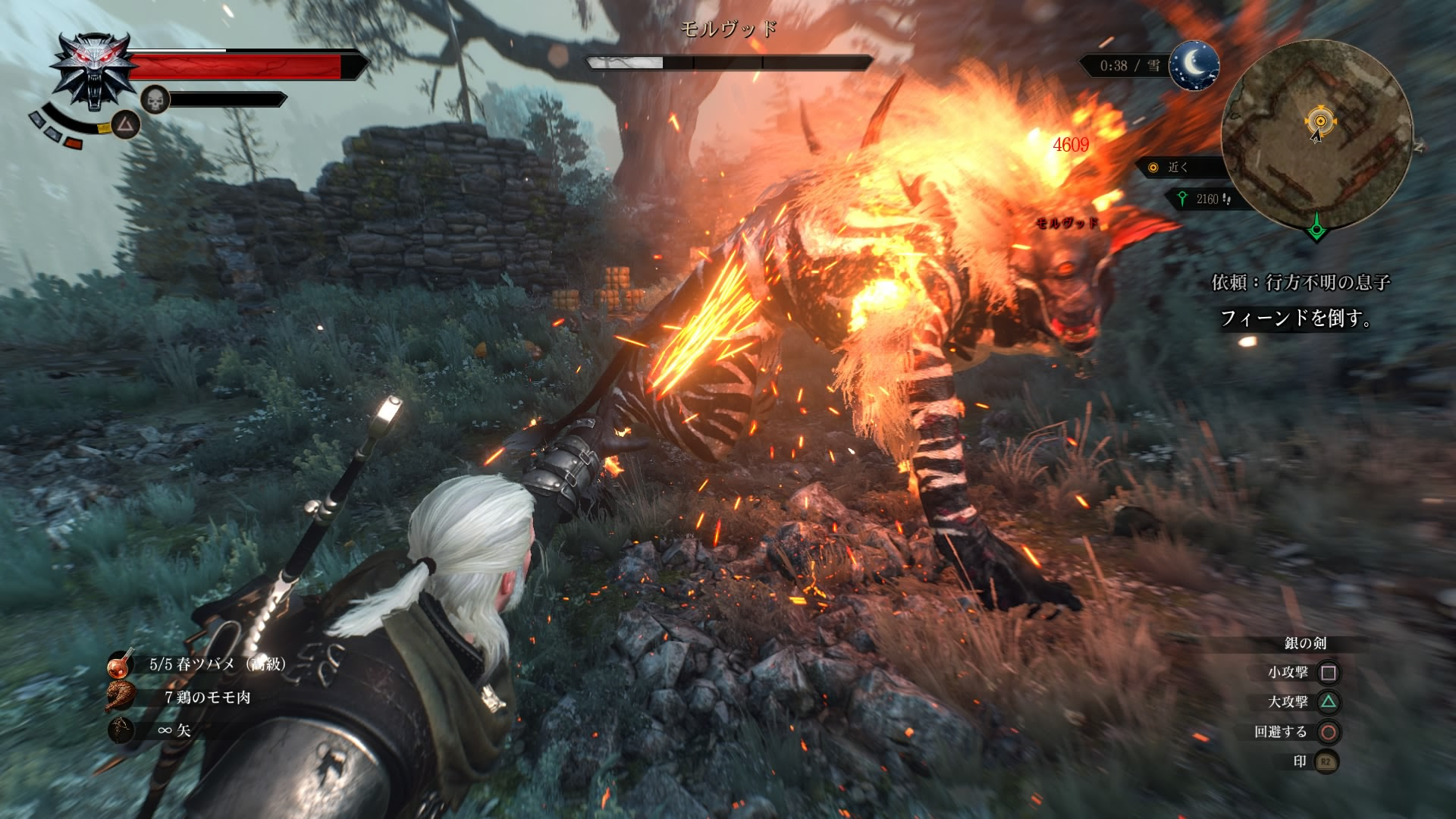 ウィッチャー３ ワイルドハント かりんちゃんの随心遊戯日誌