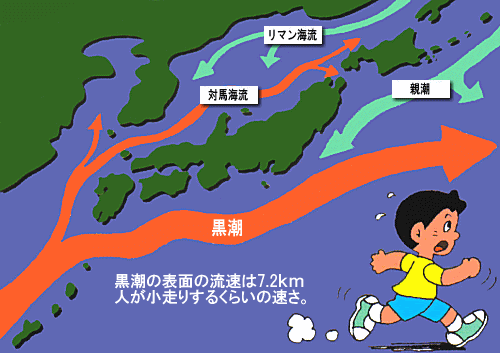日本の海流