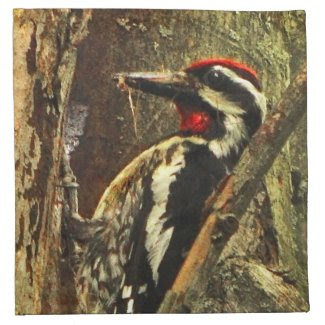 Yellow-bellied Sapsucker Napkins