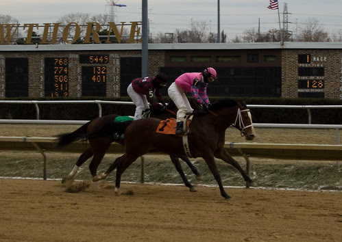 Hawthorne Race track by Mr. Walter.