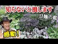 √1000以上 ガーデニング 狭い 庭 日陰 135265-ガーデニング 狭い庭 日陰