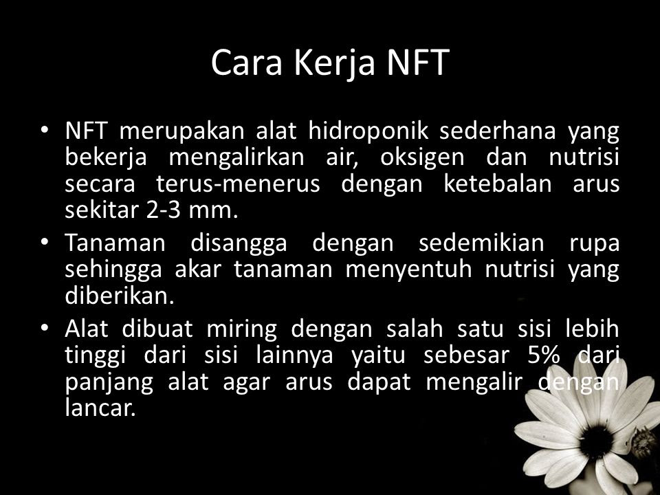 HIDROPONIK NFT Nutrient Film Technique ppt download