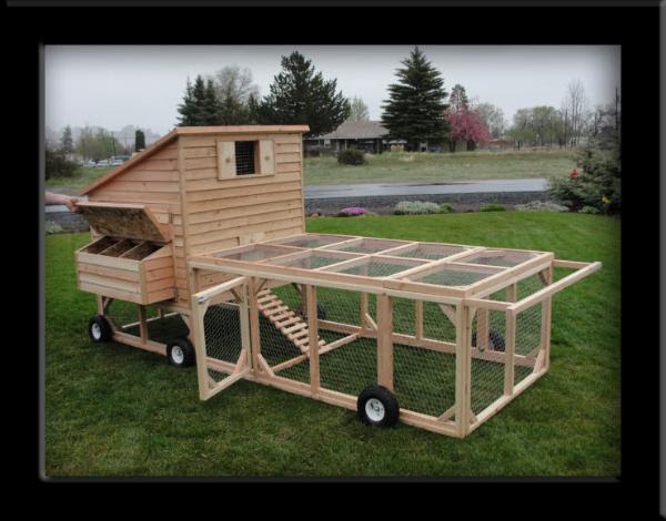 CO Chicken Coops