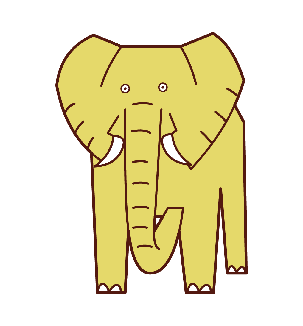 アフリカゾウのイラスト フリーイラスト素材 Kukukeke ククケケ