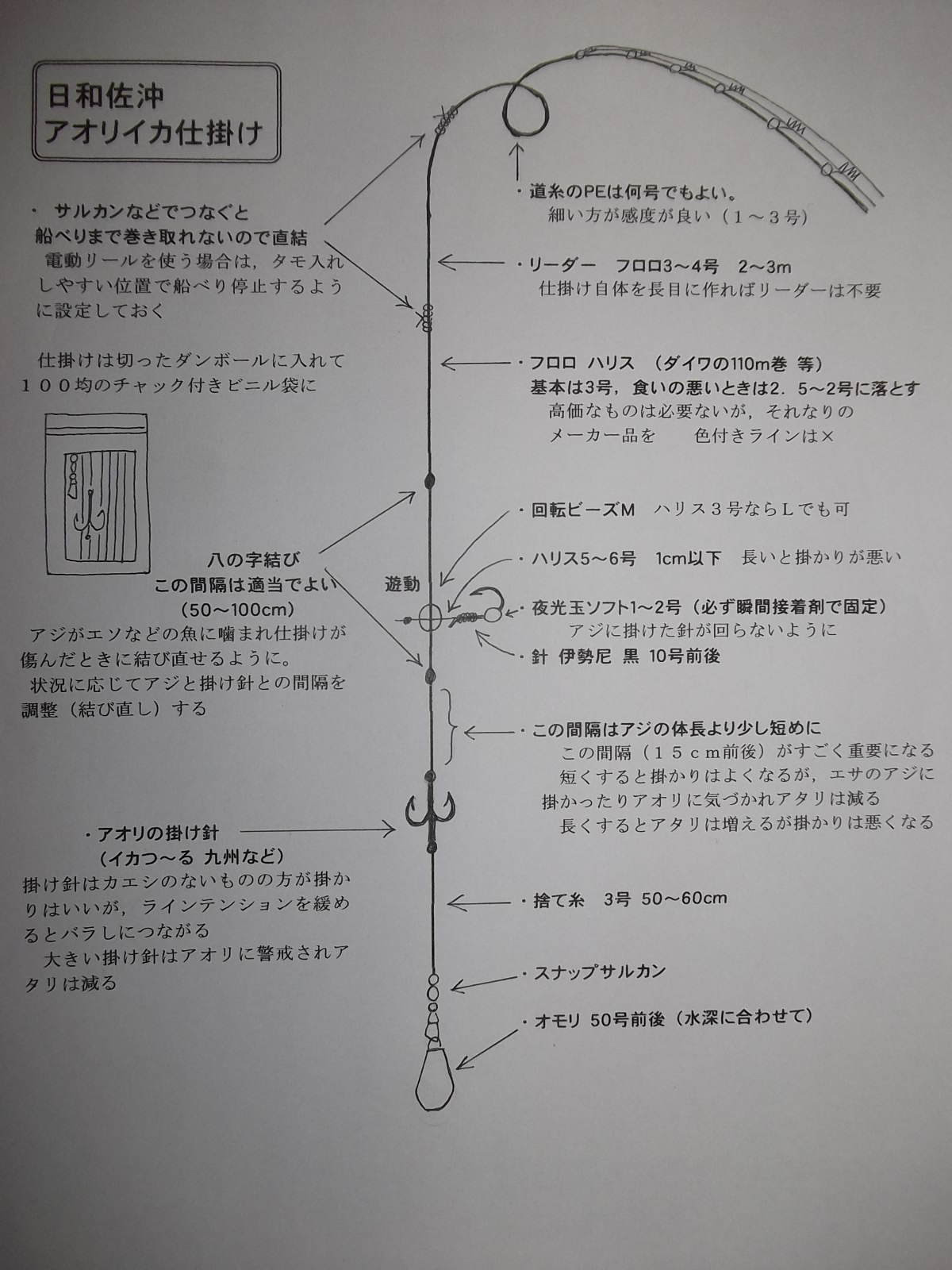 アオリイカ釣り アジ餌