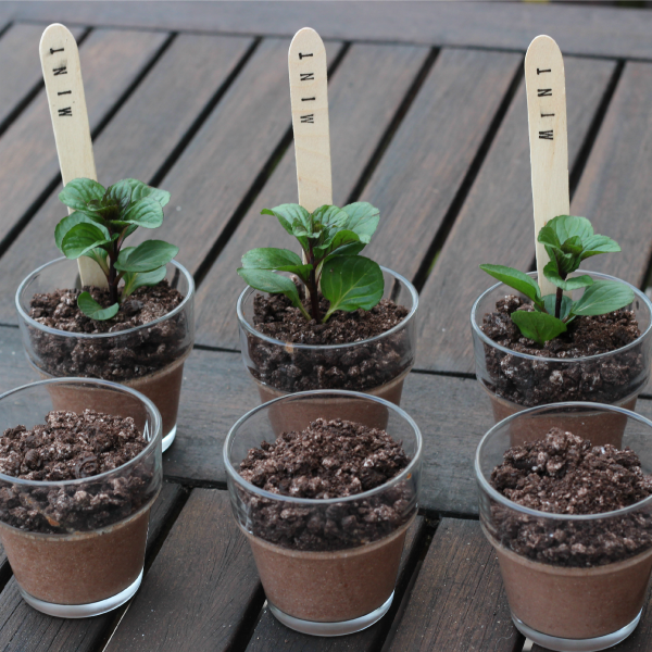 Oreo Dirt Desserts Or Chocolate Mint Puddings