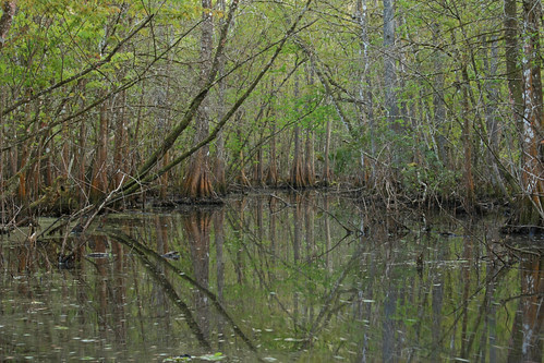 Sumter County, Florida 1