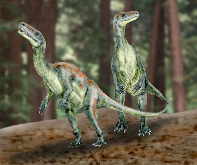 Guaibasaurus Pictures Facts The Dinosaur Database