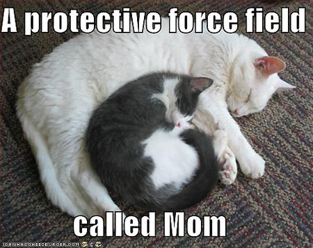 funny sayings for the day. Funny Mother's Day Quotes Online. If you don't have anything nice to say, 