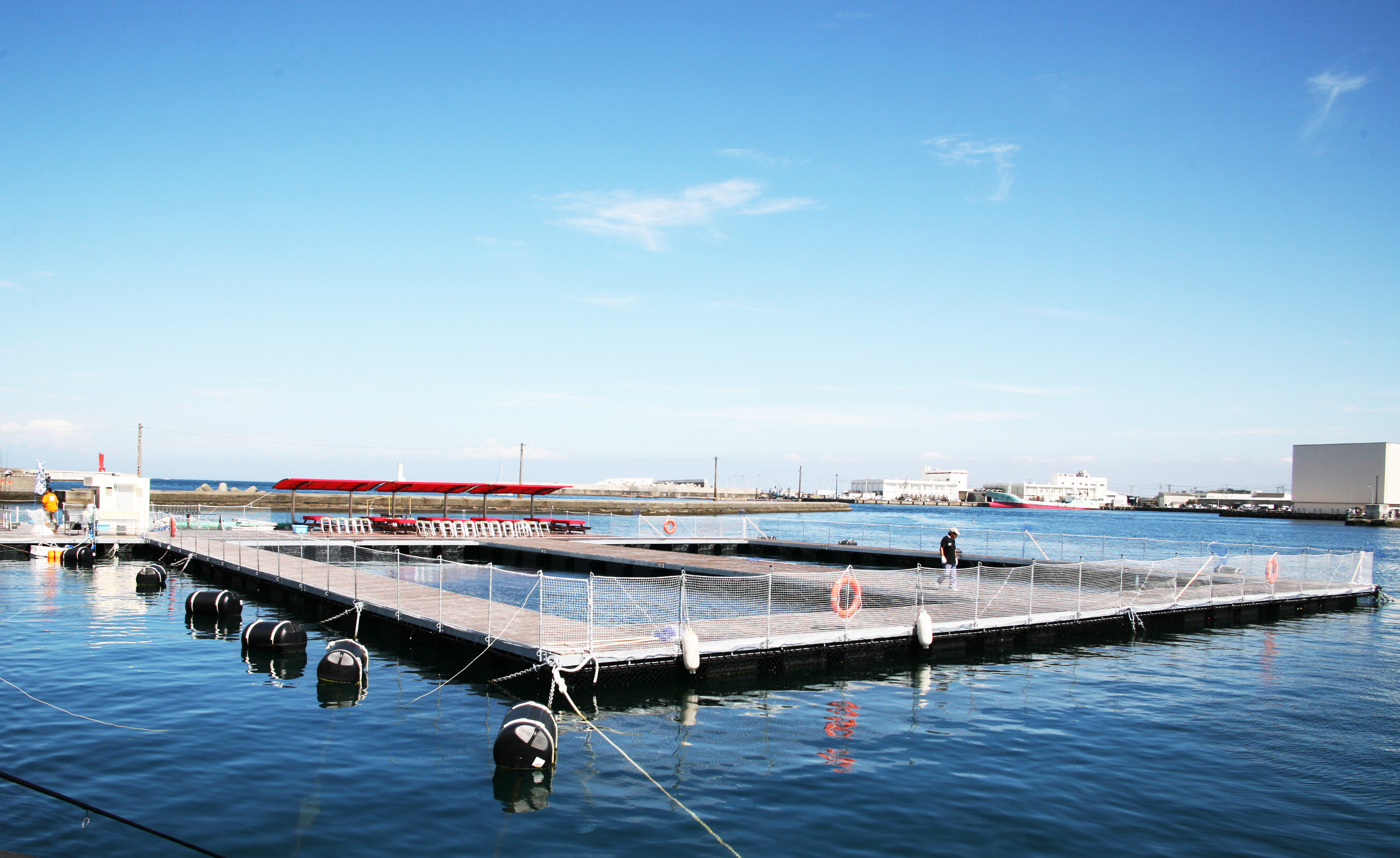 ｊ ｓフィッシング ｊ ｓ ｆｉｓｈｉｎｇ 城ヶ島 海上 イケス 釣堀