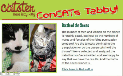 catster,tabby,diego,kimi,imikimi