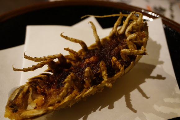 オオグソクムシ食いたきゃここ 高田馬場 米とサーカス に行ってみて へんてこグルメガイド