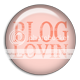 Blog Lovin