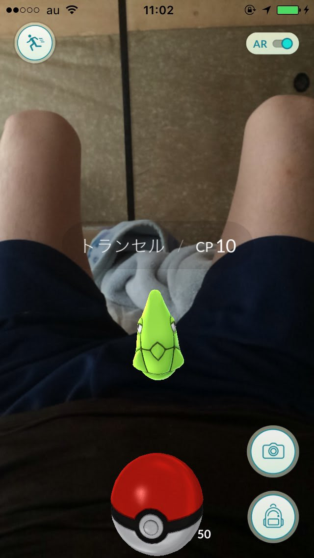 誰がトランセルや ポケモンgo 話題の画像がわかるサイト