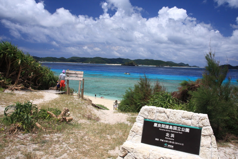 阿嘉島 ニシハマビーチ 北浜ビーチ は 沖縄で透明度トップクラス シュノーケリングが楽しめる おすすめ観光スポット 観光地