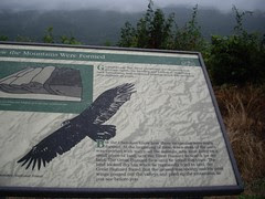 IMGP8064