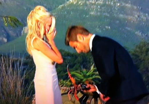 http://static.thehollywoodgossip.com/images/gallery/brad-proposes-to-emily_521x365.jpg