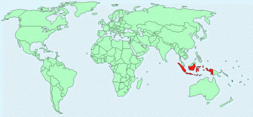 Indon sie sur la carte  du  monde  Voyages Cartes 