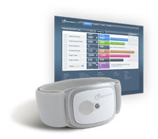BodyMedia FIT Armband