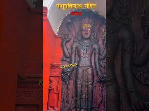चित्र