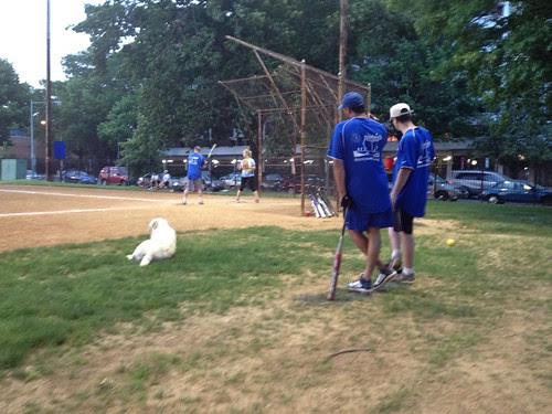 Softball game one