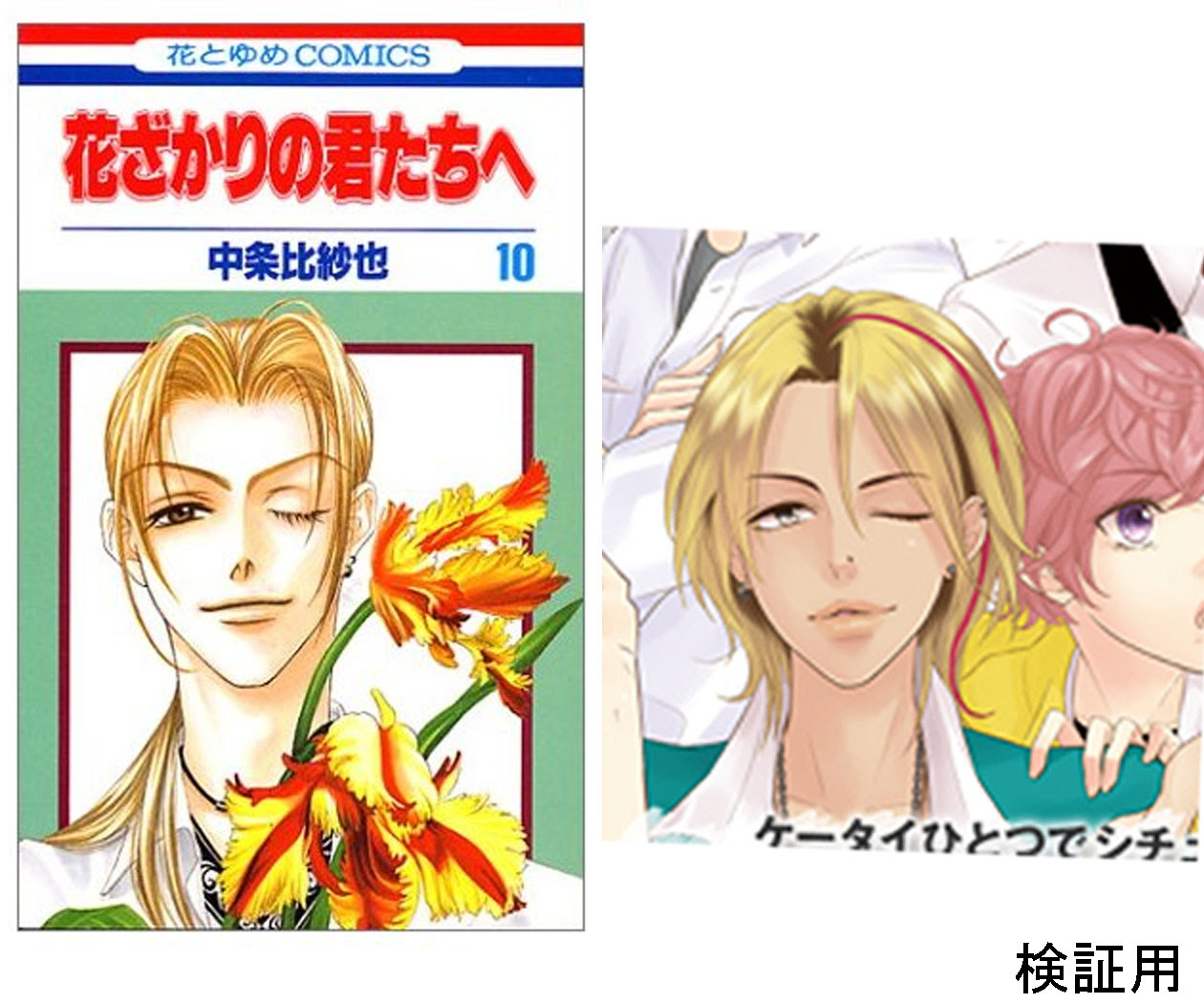 花ざかりの君たちへ 白泉社 価格比較 大矢flashスペシのブログ