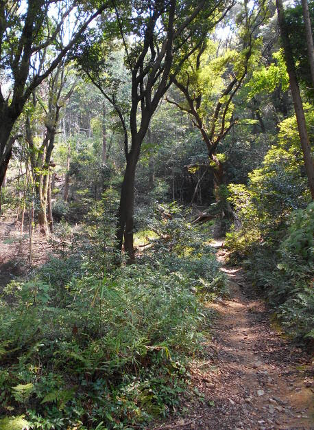 東山山頂公園まで けっこう真面目に京都散歩