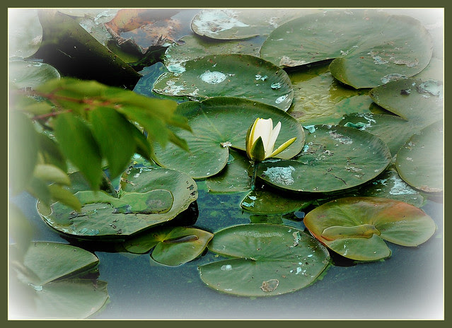 Richness