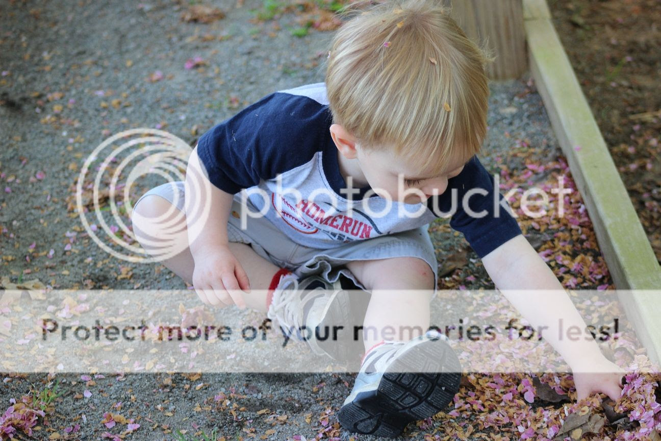  photo baseball5_zpsec83a588.jpg