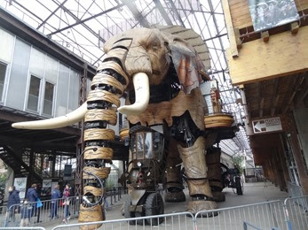 2024.02.18-005 le Grand Éléphant 2024.02.18-005 le Grand Éléphant