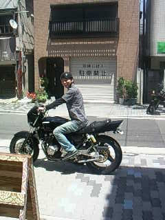 バイクメ ン Havana Stripe