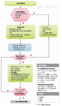 年美国心脏协会心肺复苏及心血管急救指南