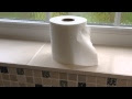 Trending This Week on YouTube: Toilet Roll Replacement and Sprinting Dogs
