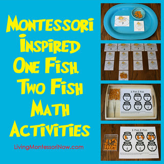 Montessori-Inspired One Fish, Two Fish Math