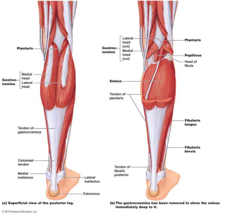 Sore lower calf upper achilles