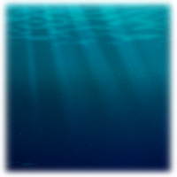 時間帯によって変わる効果的な釣り方 エギング仕掛けとテクニック アオリイカの釣り方