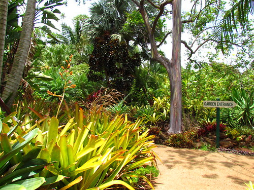 Allerton Garden