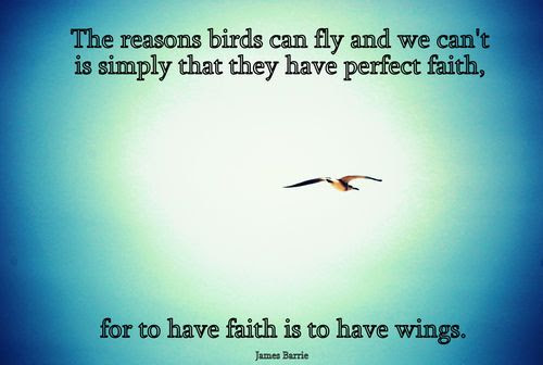 WINGS QUOTES image quotes at relatably.com