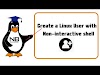 Create a Linux User with non-interactive shell