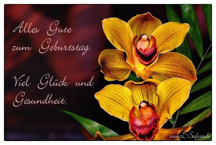glückwünsche für das brautpaar